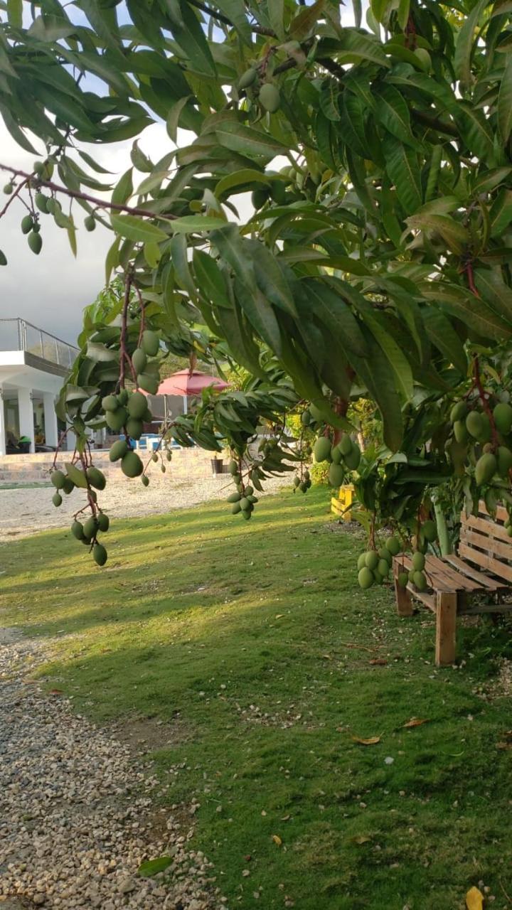 Casa De Campo Nerys San Juan de la Maguana Ngoại thất bức ảnh